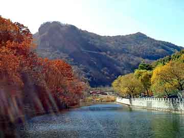 10天10夜！火神山医院这样建成